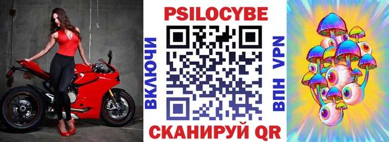 дарнет шоп  Шарыпово  Псилоцибиновые грибы прущие грибы 